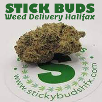 Sticky Buds Weed Delivery Halifax's Photo